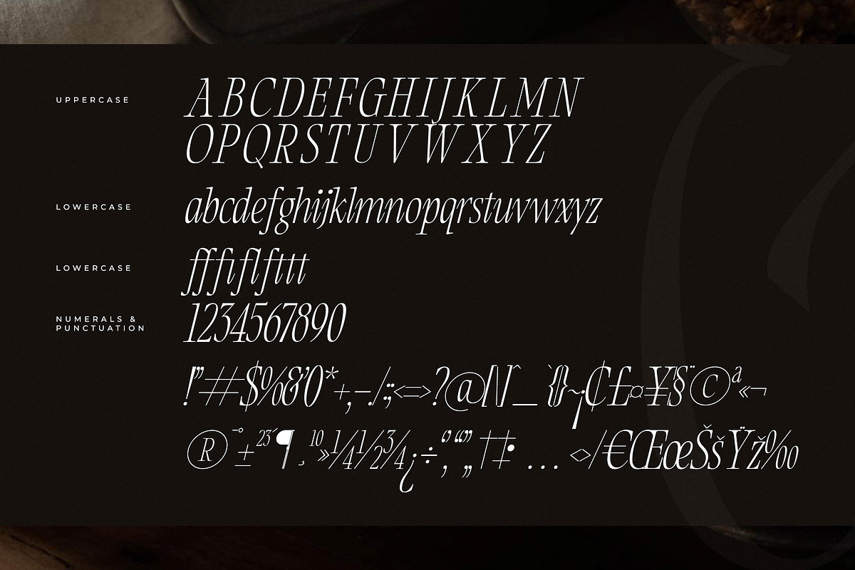 Clamofte Modern Stylish Serif, a Serif Font by Letterena Studios (Photo 14 of 15)