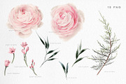 Watercolor flowers clipart (PNG), a Texture Illustration by ollalya (Thumbnail 2 of 9)