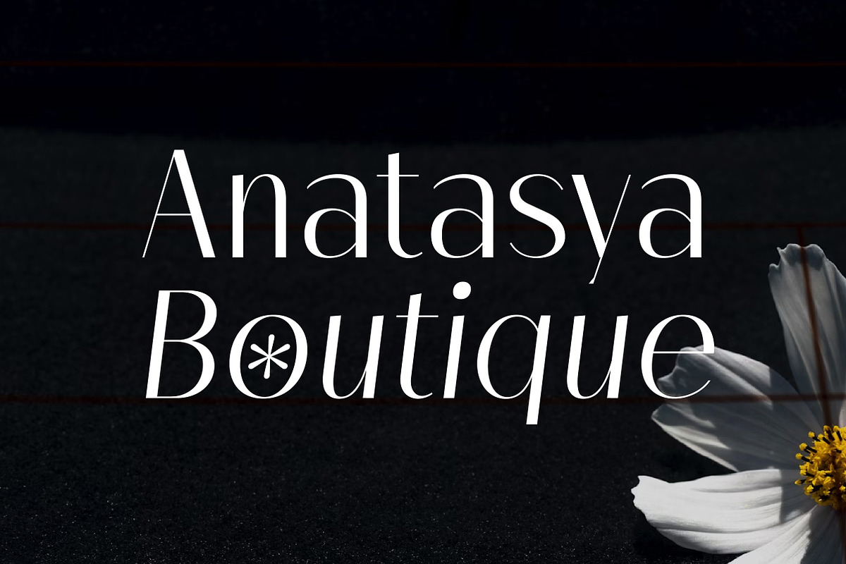 Melloida High Contrast Sans Family, a Sans Serif Font by Lettertype Studio (Photo 6 of 15)