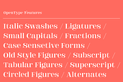DT Augustina Serif Display, a Serif Font by Deveze Type Foundry (Thumbnail 9 of 12)