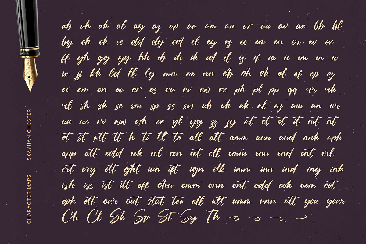 Skayhan Chester Bold Brush Font, a Script Font by Letterena Studios Script (Photo 18 of 20)