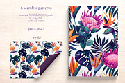 Monstera and Strelitzia watercolor, an Illustration by Salted Galaxy (Thumbnail 9 of 15)
