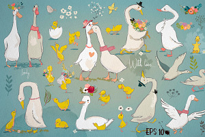 Lovely Farm Birds, an Animal Illustration by Eve Farb