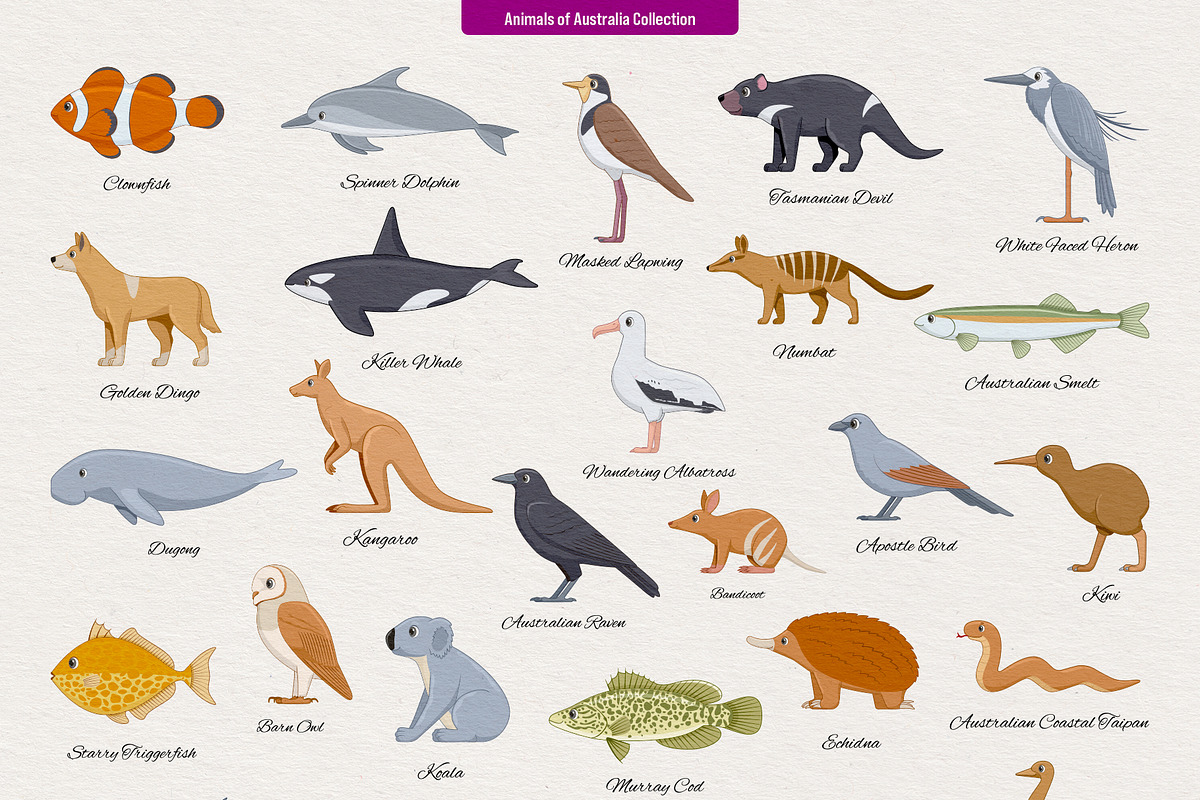 234 Animals of the World, an Animal Illustration by Genestro Shop (Photo 4 of 7)