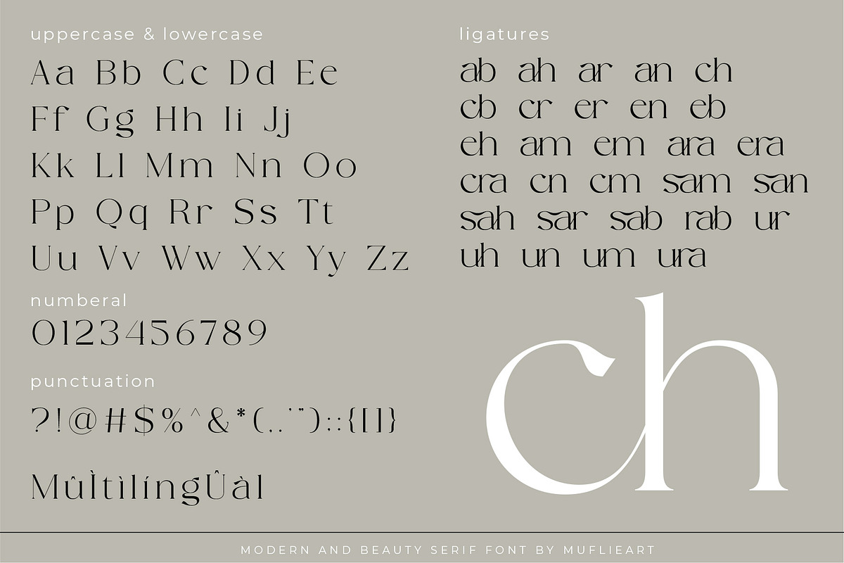 Camenia - Modern And Beauty Serif, a Serif Font by Muflieart (Photo 8 of 9)