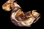Leaf: 65 Metal Leaf Shapes, an Object Graphic by RuleByArt (Thumbnail 15 of 19)