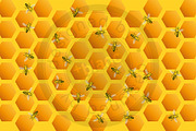 Bee, an Animal Illustration by mesblanc (Thumbnail 2 of 2)