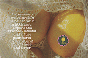 Lemonpink - Slab Serif Font, a Serif Font by Berdansabersama (Thumbnail 7 of 8)