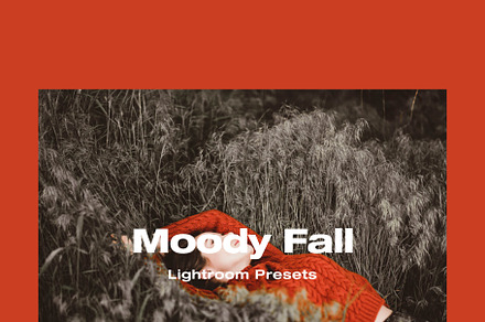 10 Mody Fall Lightroom Presets