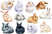 Fluffy bunnies. Watercolor painting, an Animal Illustration by Hanna Hryharenka (Thumbnail 4 of 17)