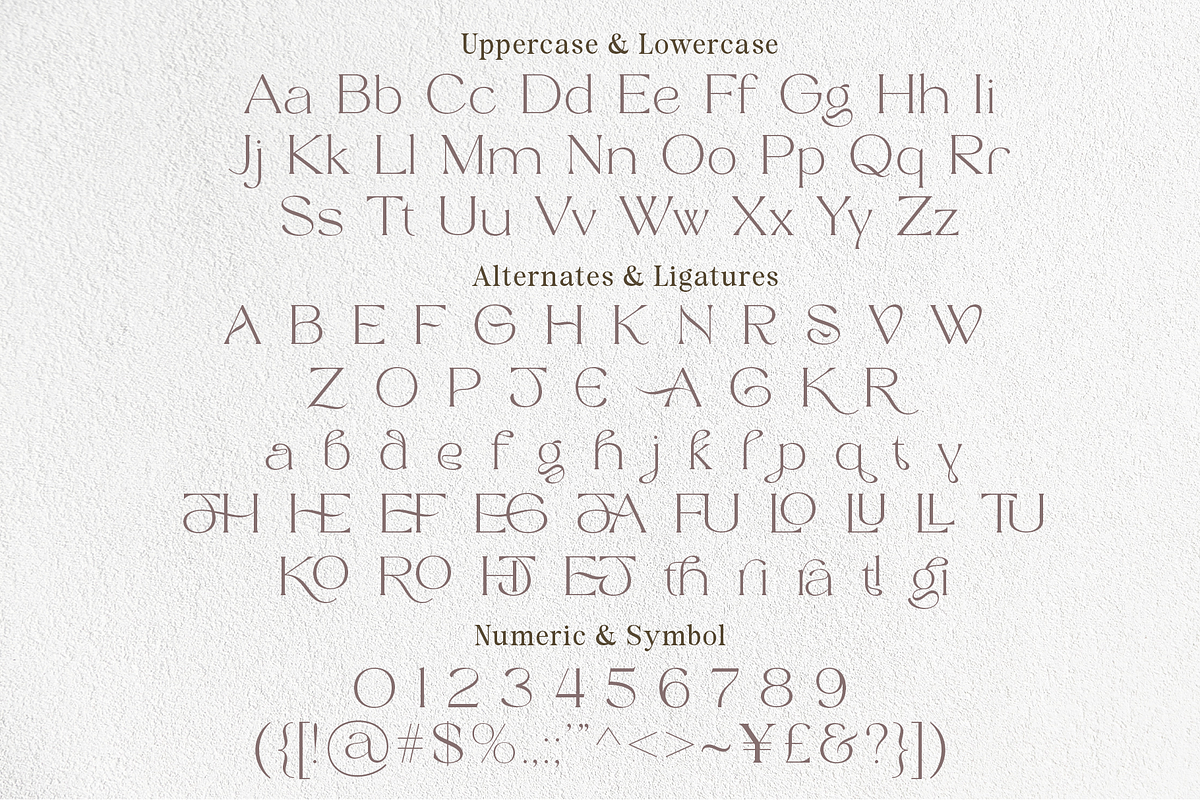 Triangle - Modern Stylis Serif, a Serif Font by Shakira Studio (Photo 16 of 16)