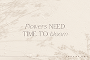 Arcadian - elegant serif typeface, a Serif Font by Only Fonts (Thumbnail 3 of 11)