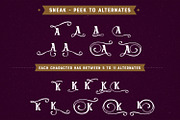 Designers font Bundle 90%OFF, a Script Font by BlackCatsMedia (Thumbnail 27 of 46)