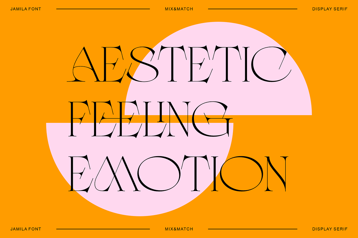 Jamila Stylist Display Serif, a Serif Font by RedyStudio (Photo 7 of 12)
