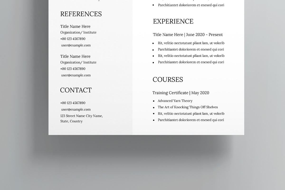 Cat Resume Template, a Resume Template by MightyDesign (Photo 5 of 8)