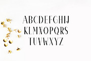 Timm Serif 4 Font Family Pack, a Serif Font by Creativetacos (Thumbnail 2 of 5)