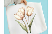 Watercolor Tulips Clipart Bundle, an Illustration by designcity5 (Thumbnail 3 of 5)
