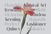 Melloida High Contrast Sans Family, a Sans Serif Font by Lettertype Studio (Thumbnail 5 of 15)