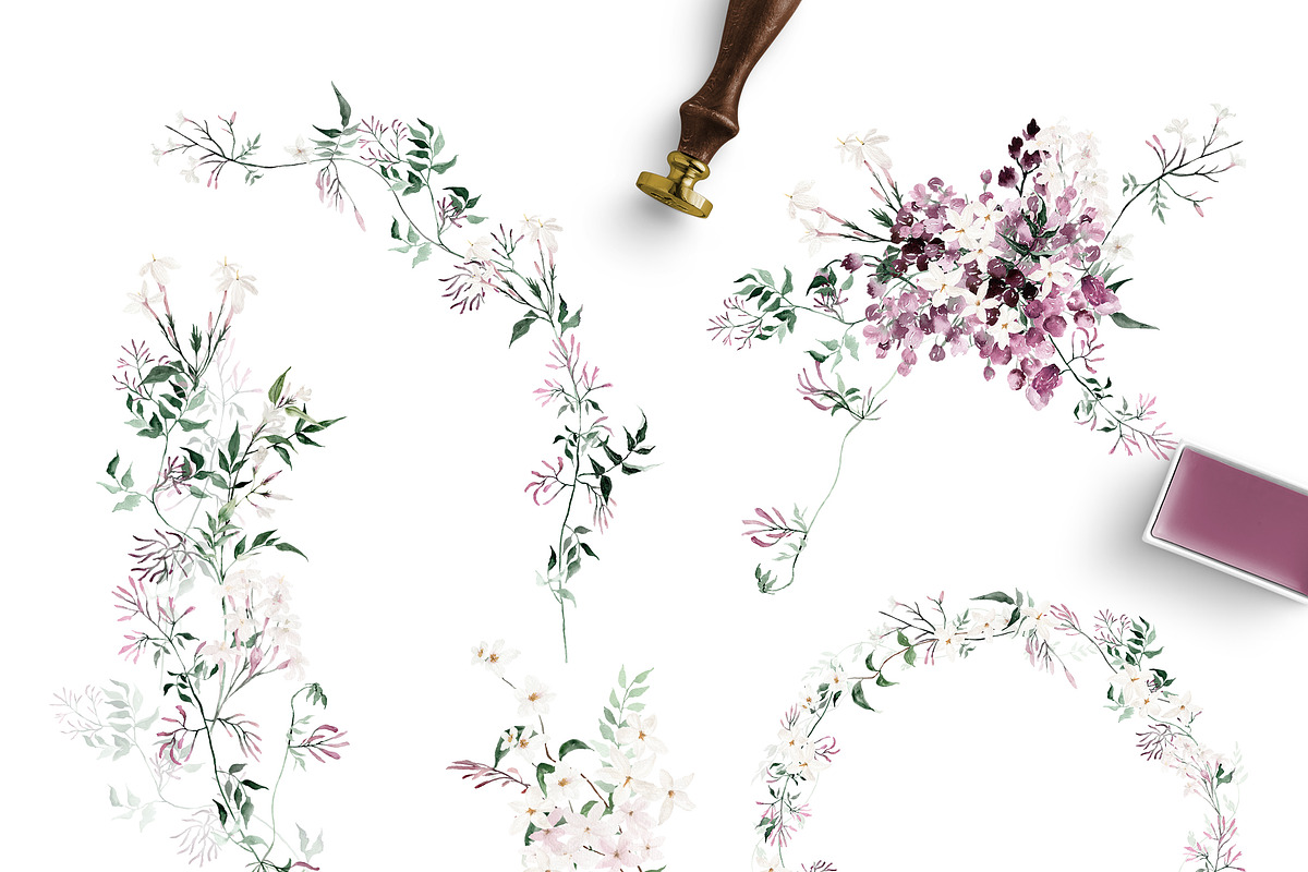 Watercolor flower - Jasmine, an Illustration by Beigetime (Photo 7 of 16)