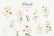 White Fields wildflowers flora, an Education Illustration by LiChu Art (Thumbnail 11 of 12)