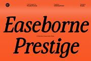CS Brinley Drawn, a Serif Font by Craft Supply Co. (Thumbnail 4 of 8)