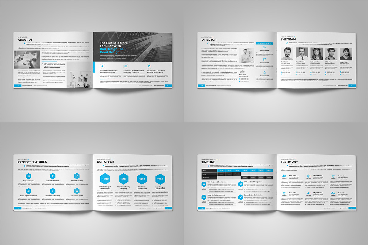 Company Project Proposal v2, a Brochure Template by Miyaji75 (Photo 13 of 16)