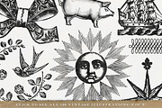 156 Misc. Vintage Illustrations Pack, an Illustration by Century Library (Thumbnail 6 of 6)