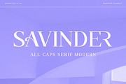 Savinder, a Serif Font by Dora Typefoundry (Thumbnail 1 of 13)
