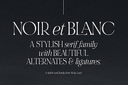 NOIR et BLANC Stylish Serif, a Serif Font by Nicky Laatz (Thumbnail 1 of 41)