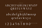 Frenchy – Elegant Ligature Serif, a Serif Font by Krismagraph (Thumbnail 7 of 10)