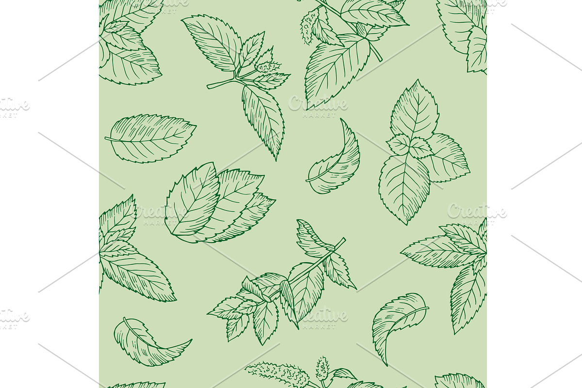 Mint pattern. seamless background, an Object Illustration by Onyx
