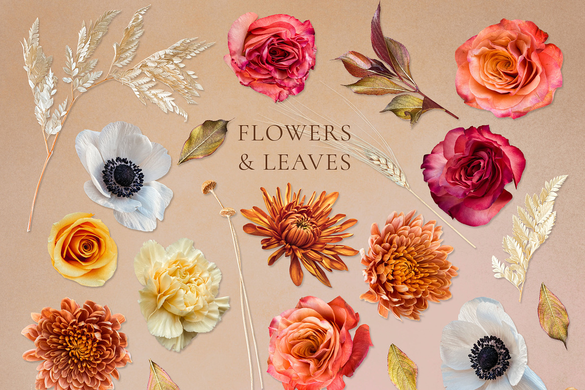 Autumn Cider Floral Clip Art, an Object Graphic by Eclectic Anthology (Photo 7 of 13)