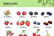 Fruit&berry clipart + label template, a Decorative Illustration by Pikovit (Thumbnail 3 of 13)
