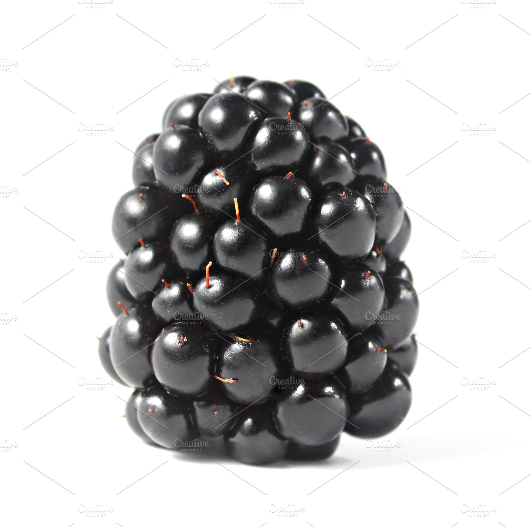 Blackberry isolated, a Photo by saiko3p