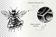 Vintage Honey Bee Illustrations, a Food Illustration by DENIDigitalArtSudio (Thumbnail 5 of 5)