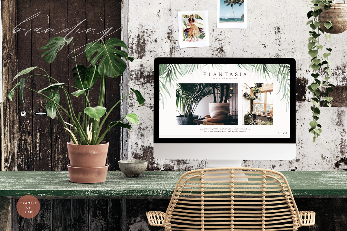 Tropicana Botanical Elements, a Graphic by Opal Creative (Photo 8 of 10)