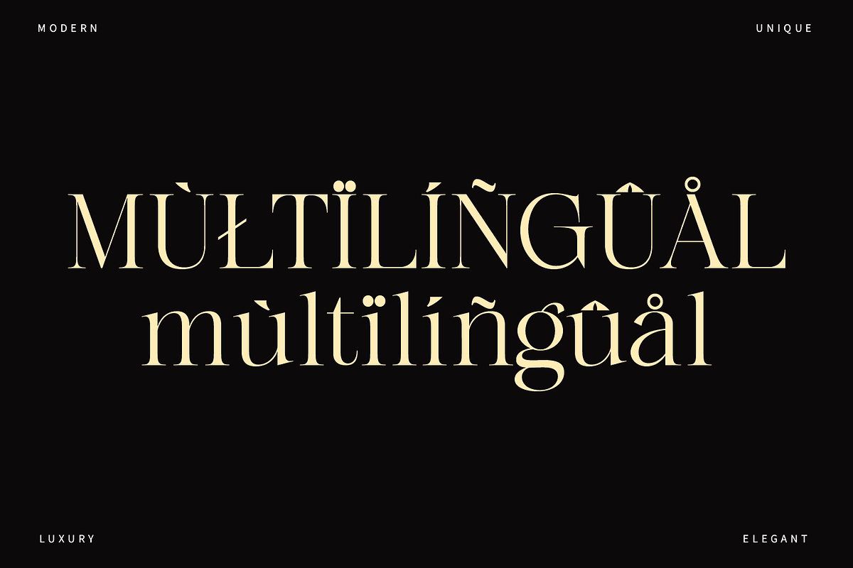 Gladier - A Modern Serif Font, a Serif Font by Comactype Foundry (Photo 19 of 22)