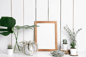 Collection of plants & frame containing laptop, minimal, and houseplant