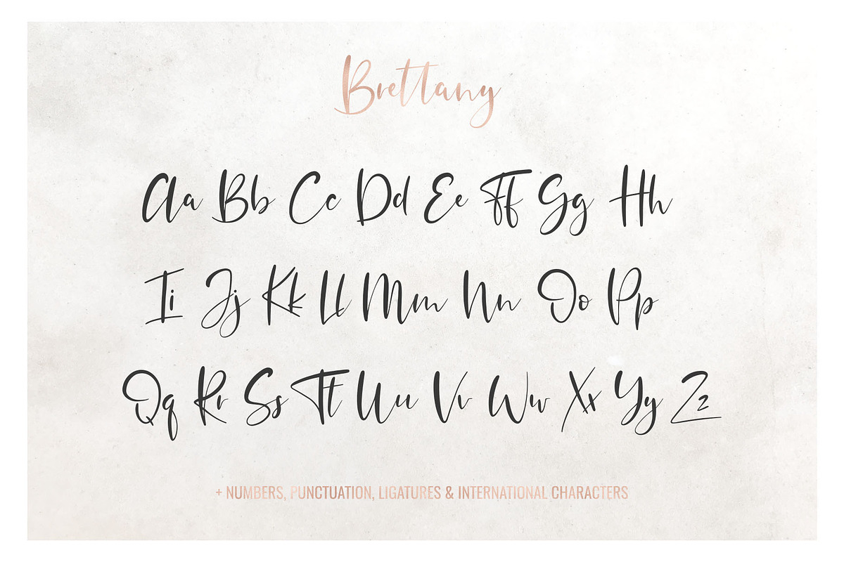 Brettany Script Font preview 3