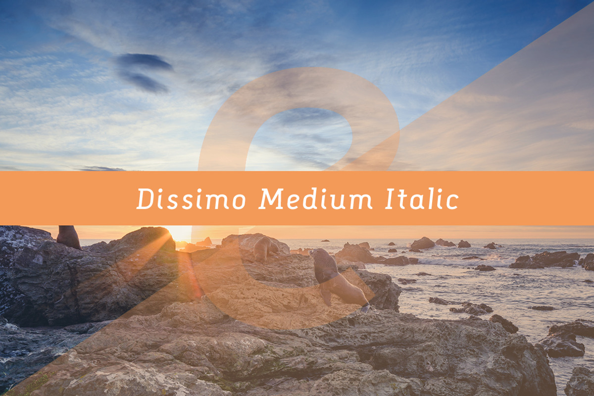 Dissimo Font Family (8 fonts), a Font by Verg Shop (Photo 10 of 24)
