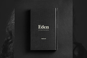 EDEN - MODERN DISPLAY SERIF FONT, a Serif Font by BURSTYPE (Thumbnail 3 of 8)