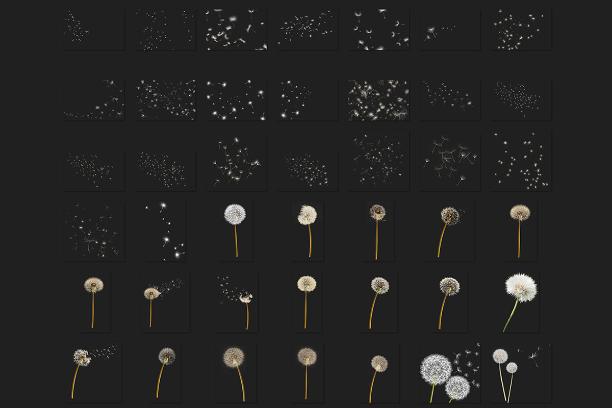 Dandelion Overlays, an Object Graphic by VligCreativeStudio (Photo 6 of 6)
