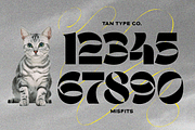 TAN - MISFITS, a Font by TanType (Thumbnail 14 of 15)