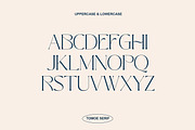 Lovie - Elegant Glyphs Serif, a Serif Font by Luna Shop (Thumbnail 4 of 7)