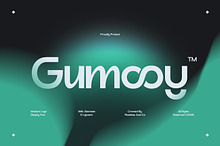 Gumooy - Modern Sans Display Font