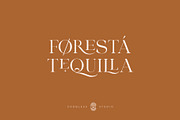 Hallosca Serif Typeface, a Serif Font by Godbless Studio (Thumbnail 13 of 16)
