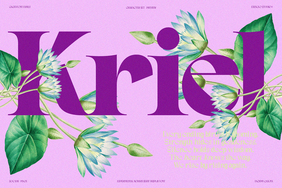 GAGEN — Modern Serif Font Family, a Serif Font by Enxyclo Studio (Photo 8 of 17)