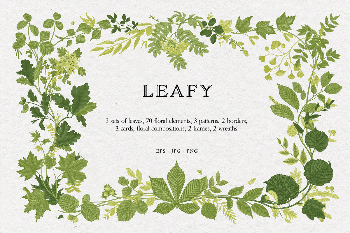 Leafy, a Decorative Illustration by olga.korneeva (Photo 1 of 16)
