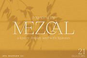 Mezcal | Luxury Ligature Serif, a Serif Font by Jen Wagner Co (Thumbnail 15 of 15)