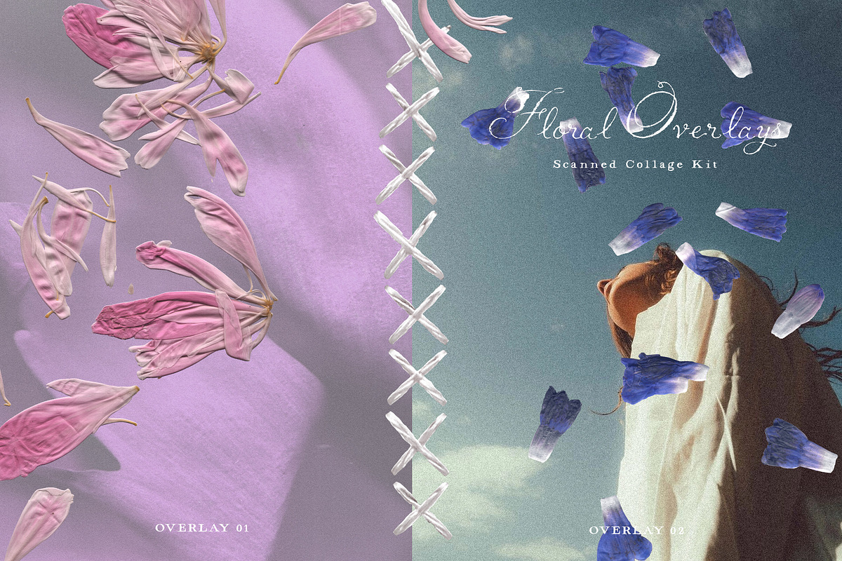 Pressed Bloom Dopamine Set, an Object Graphic by Muse Artist (Photo 7 of 16)
